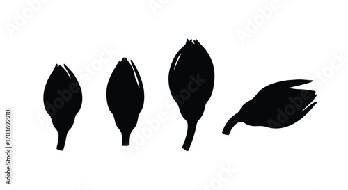 Four black silhouettes of unopened flower buds on white isolated background vector