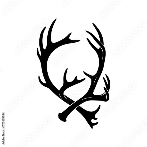 Intertwined deer antlers silhouette isolated on white background