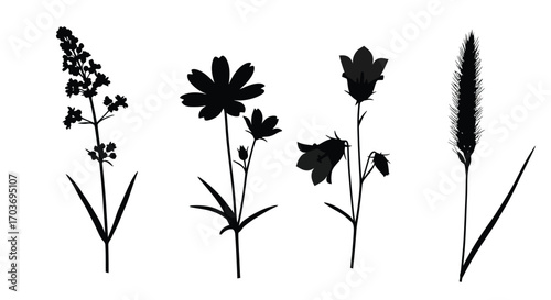 Silhouette collection of wildflowers and grasses botanical icons for design projects vector