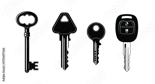 Collection of four distinct keys security access and old fashioned house keys symbolizing options vector