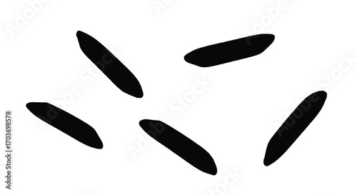 Scattered grains of black rice isolated on food ingredient photography vector