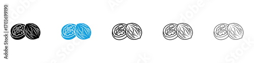 Walnut icons vector illustration for ui