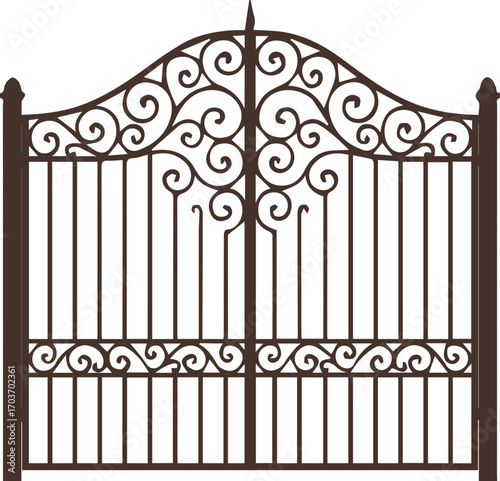 Ornamental Wrought Iron Gate with Decorative Design