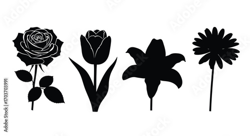 Elegant silhouette flower collection featuring rose tulip lily and daisy for decorative floral designs vector