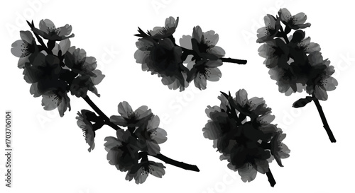 Delicate cherry blossom sprigs isolated for spring floral design elements and romantic textures vector