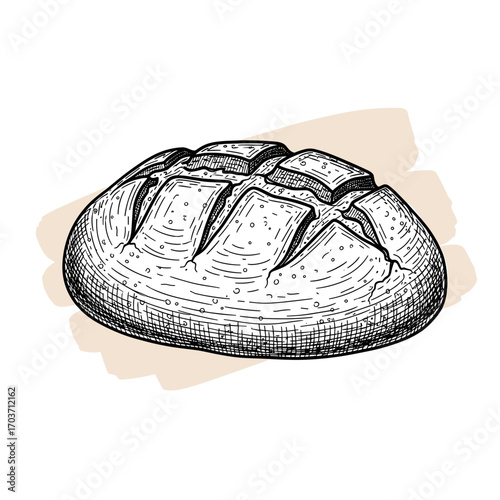 Engraving sketch of a fresh loaf of bread on a colorful background, isolated on white, vector illustration

