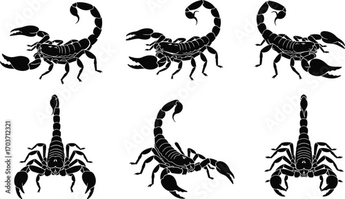 Black and white scorpion silhouette collection featuring multiple poses, detailed anatomy, curled tails, pincers, vector illustration set for wildlife and nature design