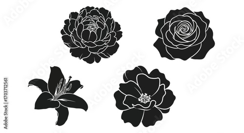 Elegant black silhouette flower collection delicate petals natural beauty botanical design elements vector