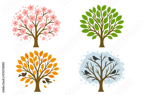 Vector illustration of a tree across the seasons