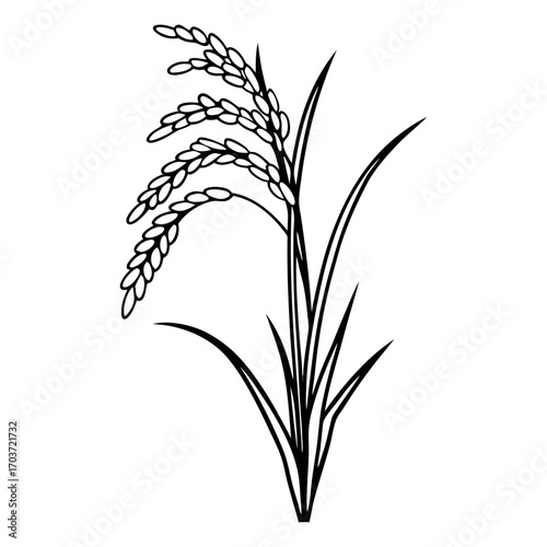 Black and White Rice Plant Vector Illustration – Agricultural Grain Crop Design.