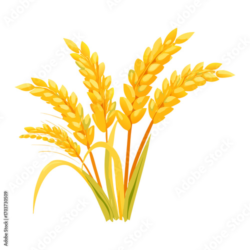 Golden Rice Ear Vector Illustration – Agricultural Grain Crop Design for Harvest and Farming.