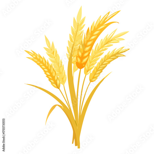 Golden Rice Ear Vector Illustration – Agricultural Grain Crop Design for Harvest and Farming.