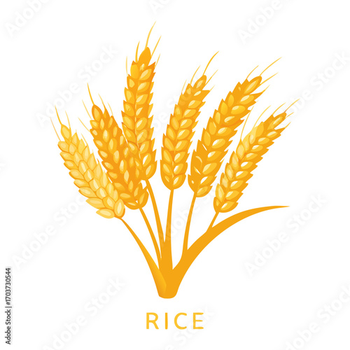 Golden Rice Ear Vector Illustration – Agricultural Grain Crop Design for Harvest and Farming.