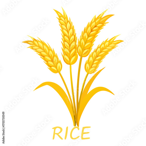 Golden Rice Ear Vector Illustration – Agricultural Grain Crop Design for Harvest and Farming.
