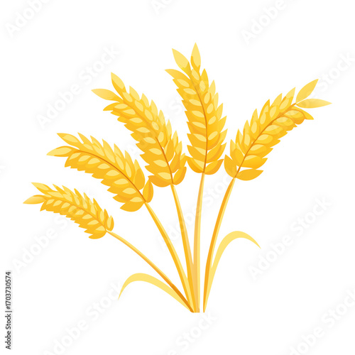 Golden Rice Ear Vector Illustration – Agricultural Grain Crop Design for Harvest and Farming.