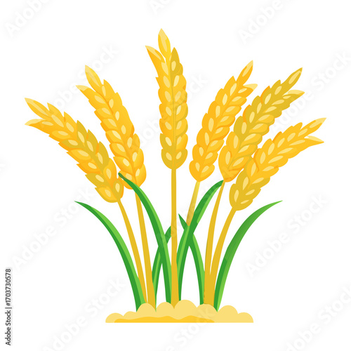 Golden Rice Ear Vector Illustration – Agricultural Grain Crop Design for Harvest and Farming.