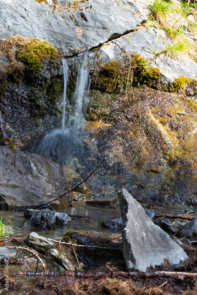 Obraz premium forest with river in long exposure and rocks at golden hour 