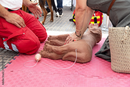 Veterinarian Training Workshop Demonstrating Canine CPR on Dog Mannequin with Instructors Teaching Emergency First Aid Techniques for Pet Health and Safety