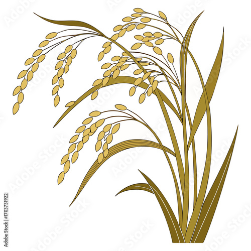 Rice vector , rice design, rice logo, rice icon, rice concept, rice cartoon, rice template, rice art, rice topics, rice doodle.