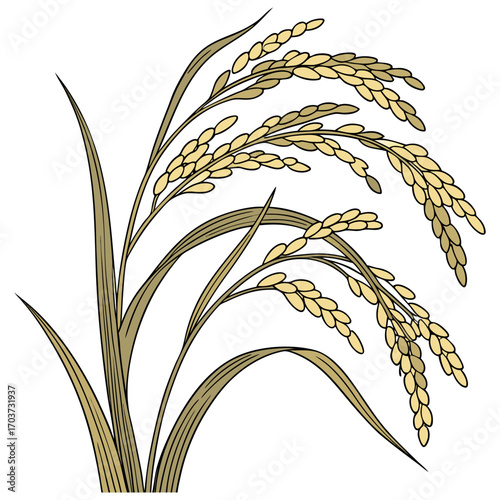 Rice vector , rice design, rice logo, rice icon, rice concept, rice cartoon, rice template, rice art, rice topics, rice doodle.
