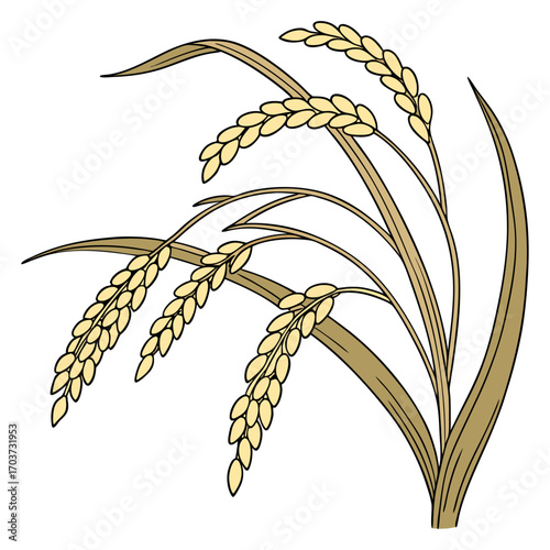 Rice vector , rice design, rice logo, rice icon, rice concept, rice cartoon, rice template, rice art, rice topics, rice doodle.