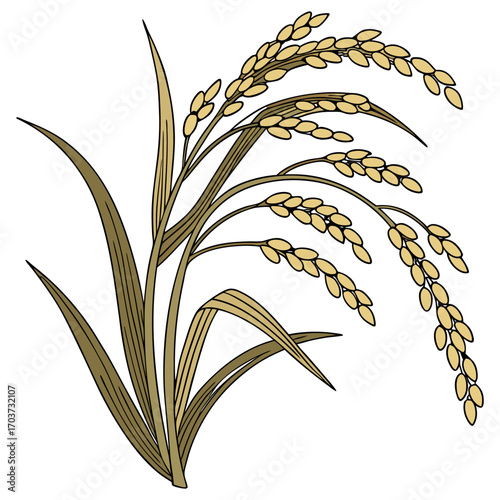 Rice vector , rice design, rice logo, rice icon, rice concept, rice cartoon, rice template, rice art, rice topics, rice doodle.