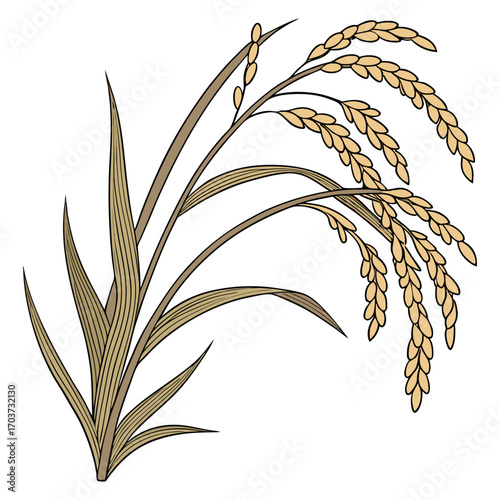 Rice vector , rice design, rice logo, rice icon, rice concept, rice cartoon, rice template, rice art, rice topics, rice doodle.