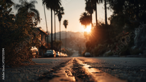 Low angle view of a quiet street lined with palm trees at golden hour. Warm sunset lighting and peaceful suburban scene