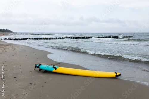 Canvas Print surfing board on the sea background