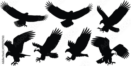 Black eagle silhouettes, dynamic bird shapes, flying and landing poses, wildlife vector art, raptor design, decorative outline, powerful avian illustration collection