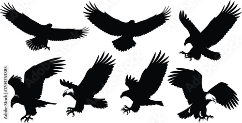 Black eagle silhouettes, majestic bird shapes, flying and landing poses, wildlife vector art, raptor design, decorative outline, powerful avian illustration collection