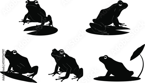 Frog silhouettes on lily pads, cartoon amphibian poses, nature wildlife art, pond scene illustration, tropical leaf umbrella, flat vector illustration