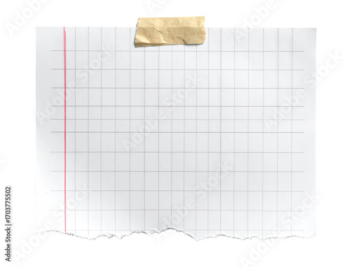 Blank graph paper sheet, torn edges, taped