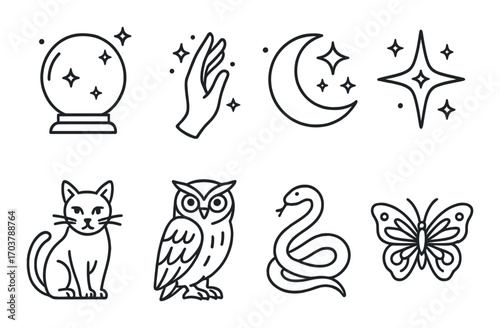 Mystical symbols: crystal ball, hand, moon, star, cat, owl, snake, butterfly