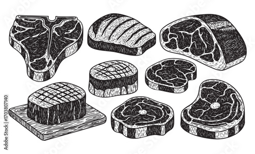 vector set of steak meat