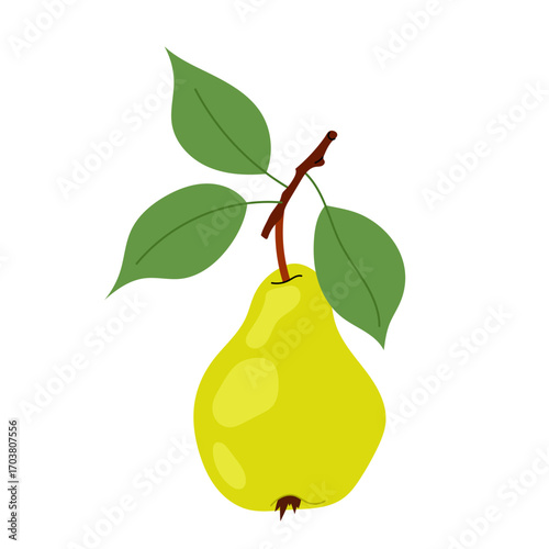 Healthy snack. Ripe pear on branch. Seasonal fruit on white. Flat illustration of a green pear.