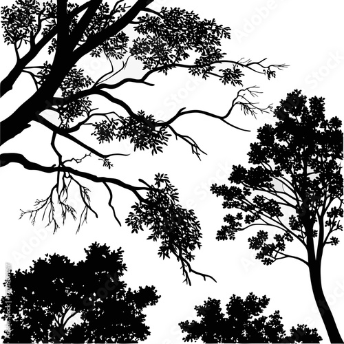 A collection of black tree silhouettes with detailed branches and leaves against a clean white background showcasing natural organic shapes and textures