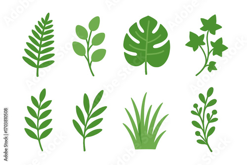 Nature silhouette icon set. featuring fern, eucalyptus, monstera, ivy, laurel, grass, olive branch symbols