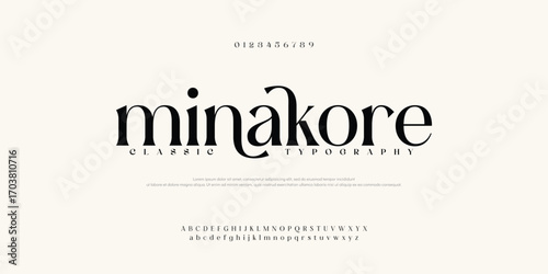 premium luxury elegant alphabet letters and numbers. Vintage wedding typography classic serif font decorative vintage retro. creative vector illustration