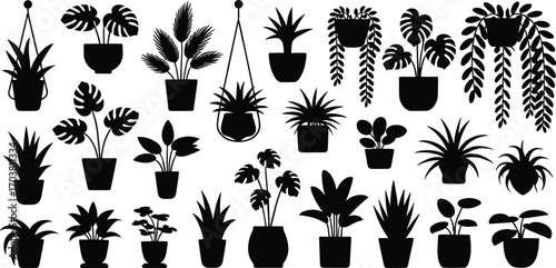 Vector illustration of indoor houseplants in pots and hanging planters, perfect for botanical decor, gardening, plant lovers, interior design, and home greenery