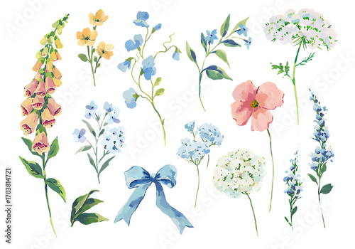 Watercolor wildflower vector collection with foxglove, poppy, hydrangea, lavender, gypsophila, sweet pea, forget-me-not, botanical clipart