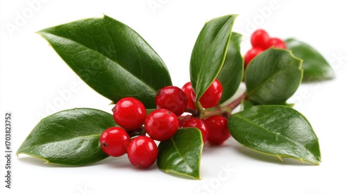 A close-up view showcases vibrant red holly berries nestled among shiny green leaves, symbolizing the spirit of winter festivities and seasonal cheer.