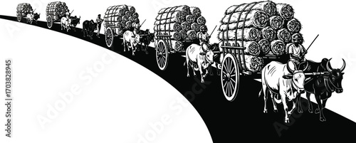 Monochrome procession of ox carts carrying hay bales, rural transport