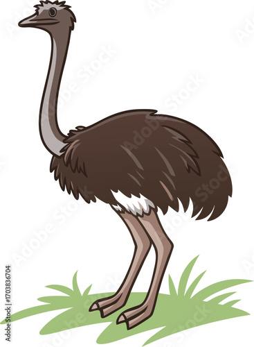 Brown ostrich standing on green grass bird animal