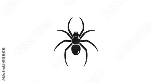 Striking black spider silhouette poised for action, perfect for evoking fear, mystery, or the intricate designs of nature in your creative projects.