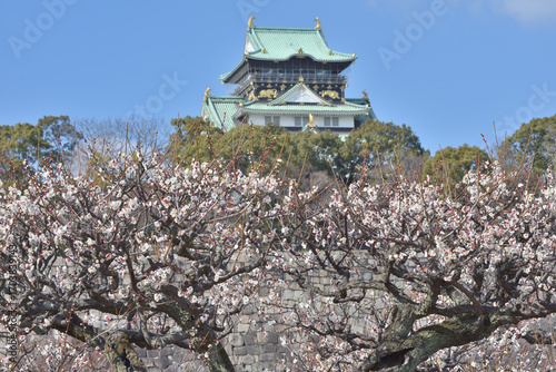 大阪城の梅