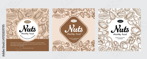 Vector background with sketches of plants of various nuts. The pattern with space for text. Flyer, booklet advertising and design.