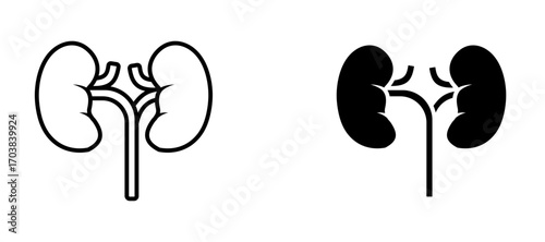Kidney Icons in solid and liner versions.