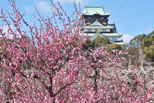 大阪城の梅