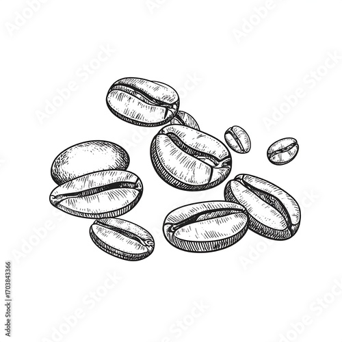 Hand drawn coffee beans